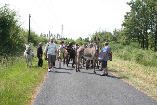 2015-07-06 rando anes (34).JPG